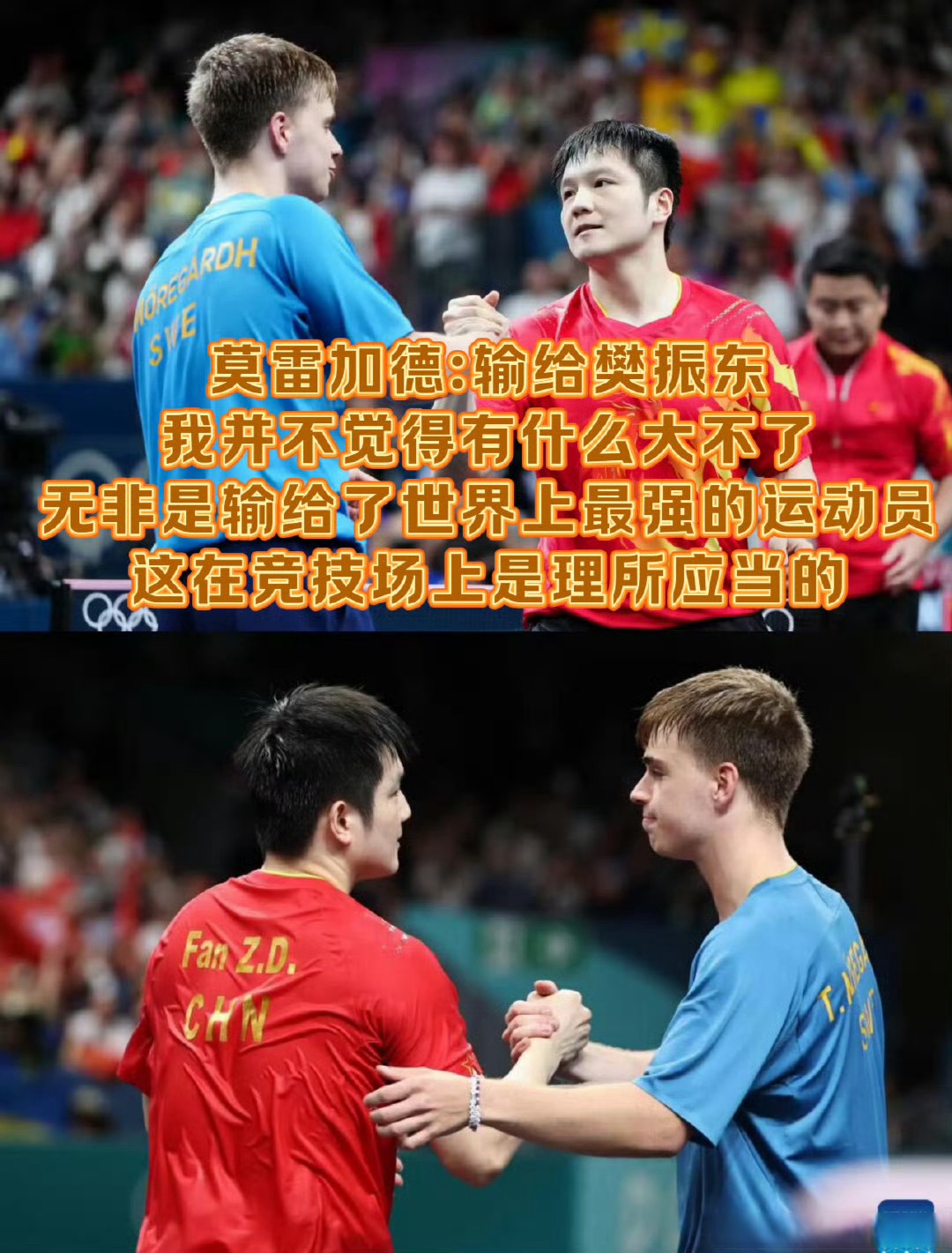 葡萄牙队绝杀瑞典队,樊振东惊艳四座 葡萄牙队绝杀瑞典队,樊振东惊艳四座