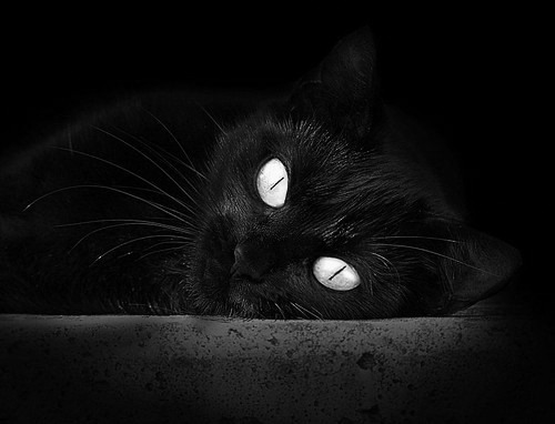 活塞强压山西队，詹姆斯成为关键先生，一场跨越篮球文化的对话