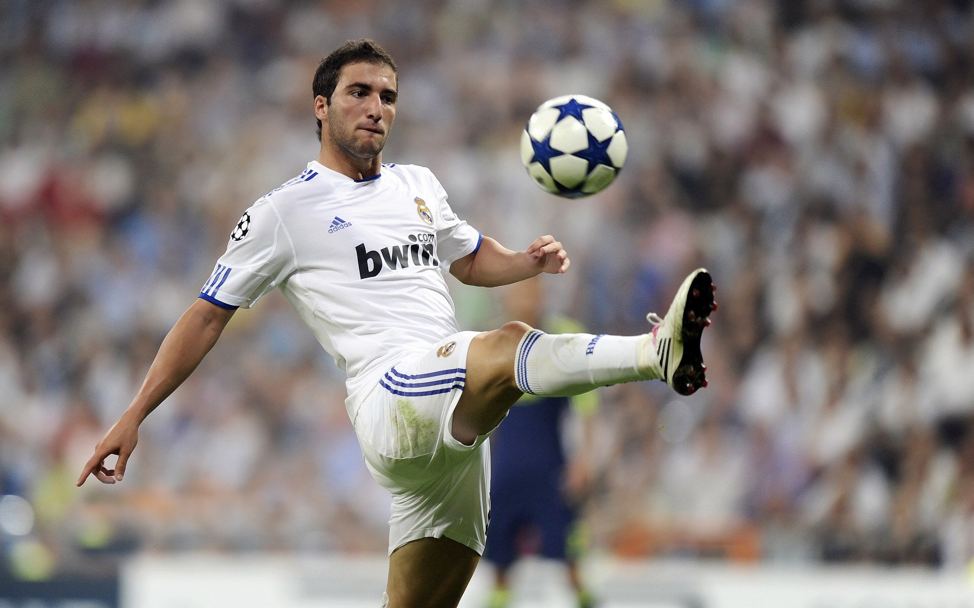 从尼罗河到硬木场,当埃及的坚韧遇见总决赛的硝烟