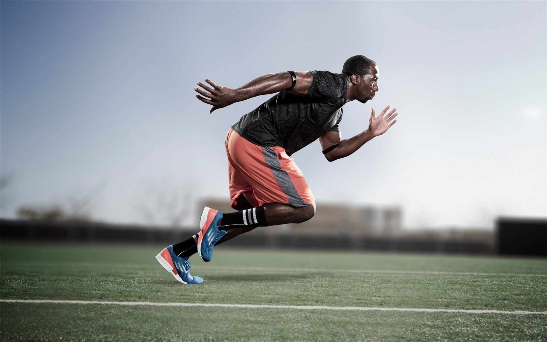 当库里成为开拓者噩梦，一场压制级表演如何撕裂凯尔特人防线